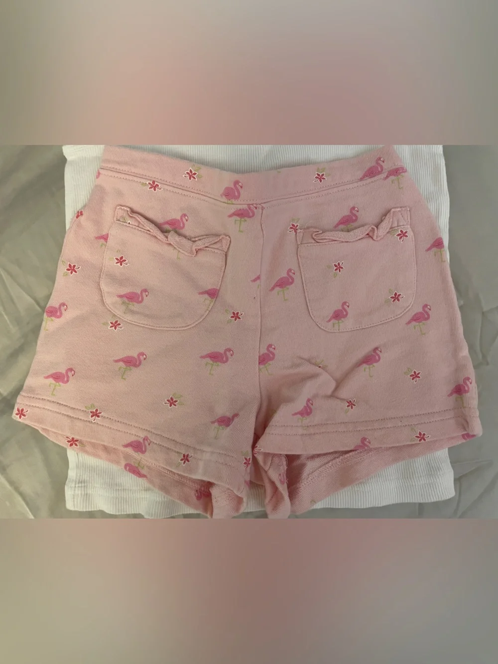 Gymboree two piece